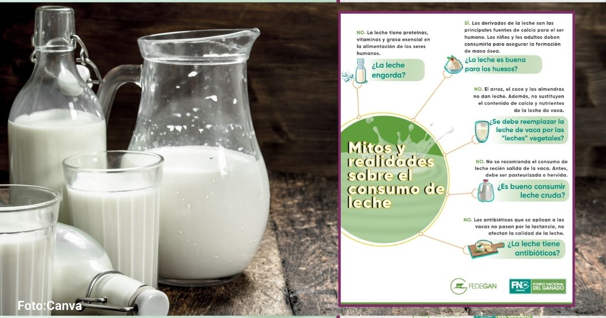 consumo de leche 