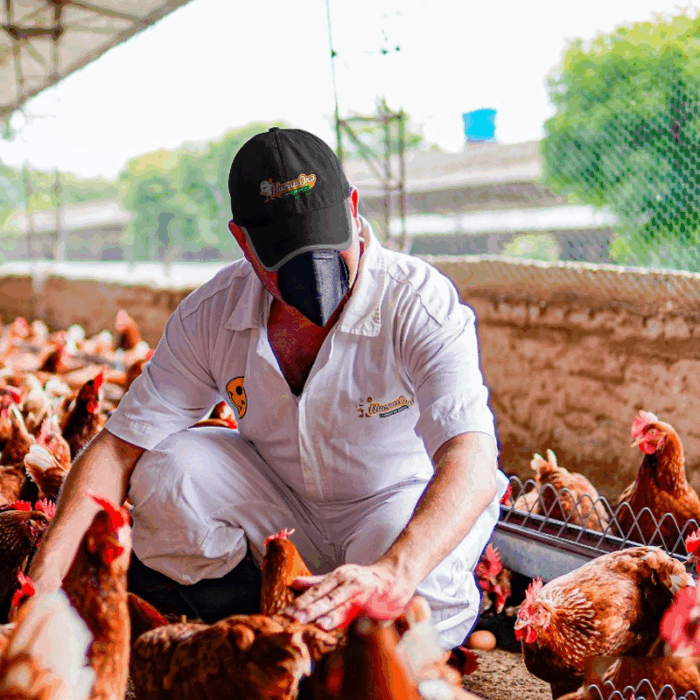  - La gigante Huevos Oro que hace 60 años fundó un gringo quien no alcanzó a ver el emporio en que se convirtió