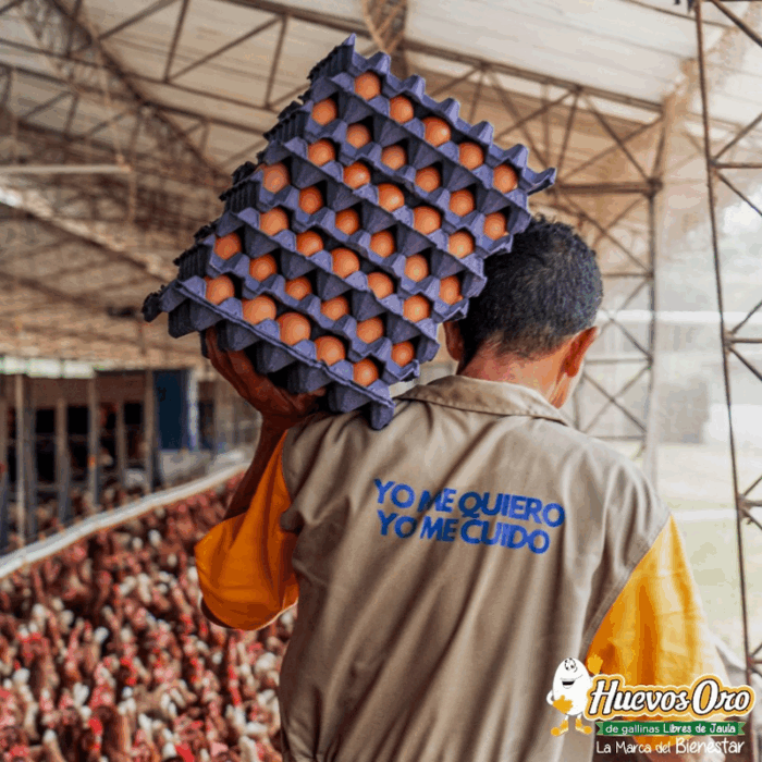  - La gigante Huevos Oro que hace 60 años fundó un gringo quien no alcanzó a ver el emporio en que se convirtió
