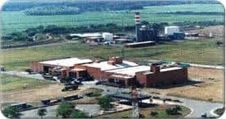  - Mondelez, la empresa gringa de galletas Oreo y Club Social que se coló entre las más vendidas junto a Noel y Nestle