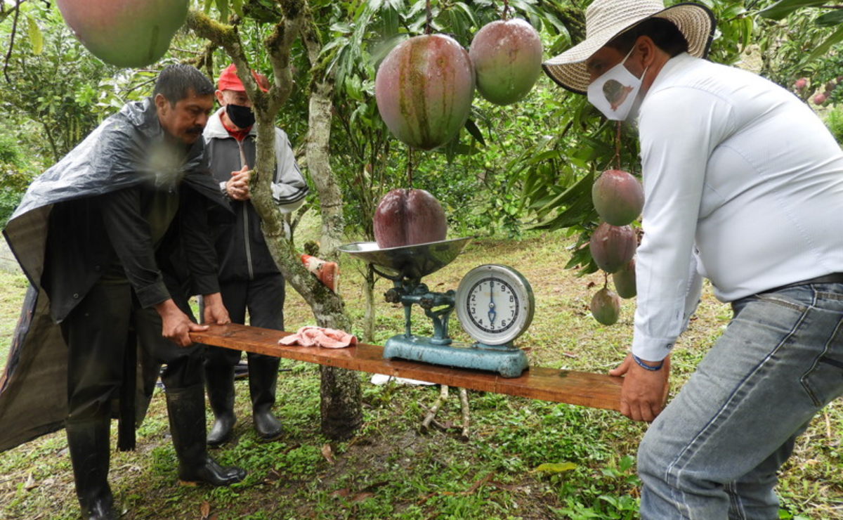 Los cinco récords Guinness más "locos" que tiene Colombia - -- Las2orillas récords Colombia