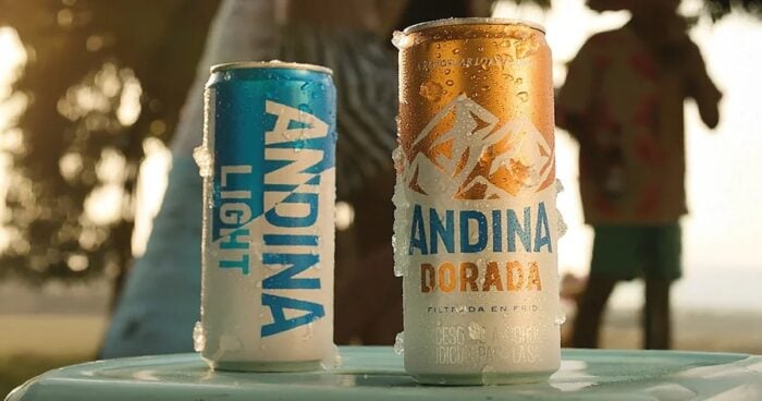  - Las poderosas sociedades que los Ardila y Echavarría de Corona tienen con chilenos que hoy eligen su presidente