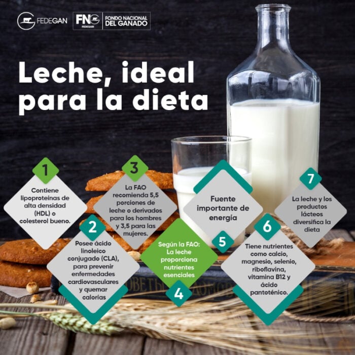 leche y los lácteos