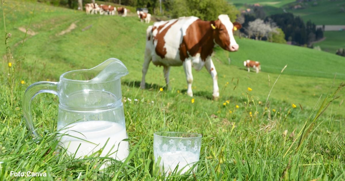 Verdades sobre el poder de la leche que tumban viejos mitos