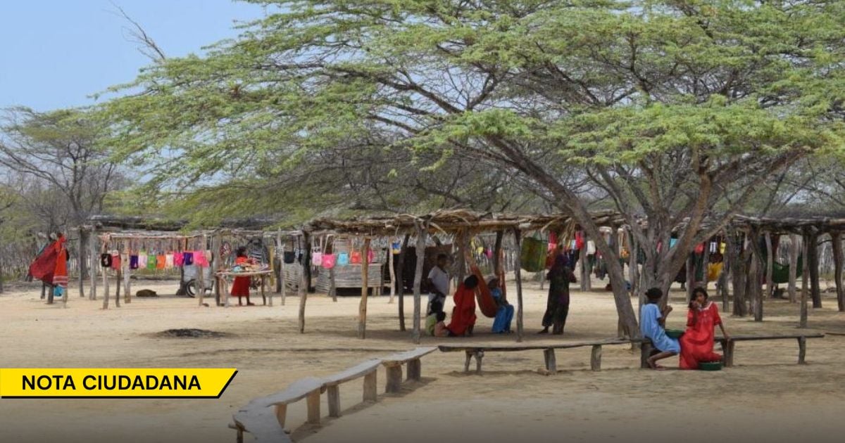 El bloque de búsqueda llegó a salvar a los niños wayuu que murieron hace doce años