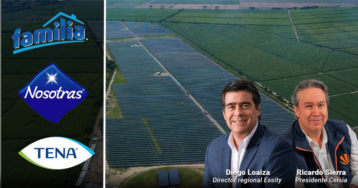 Cómo funciona la gigante planta solar en el Cauca que mueve el negocio de los suecos que se quedaron con papeles Familia