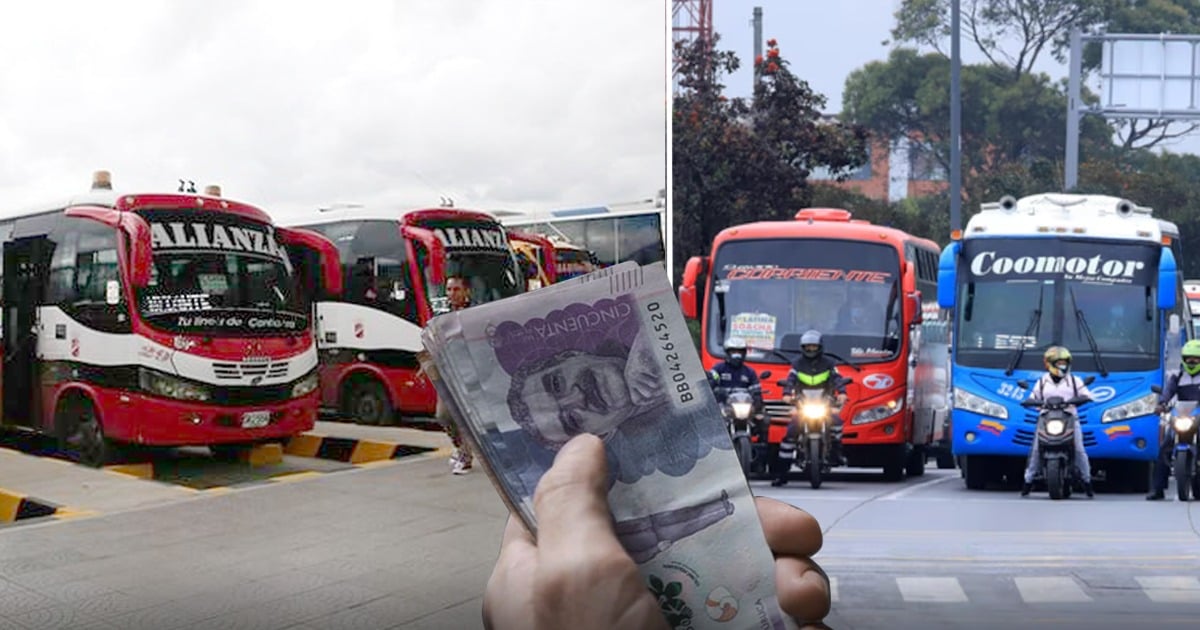 Ya subieron los pasajes de los buses intermunicipales en Cundinamarca, Medellín y Cali: así quedaron para 2026