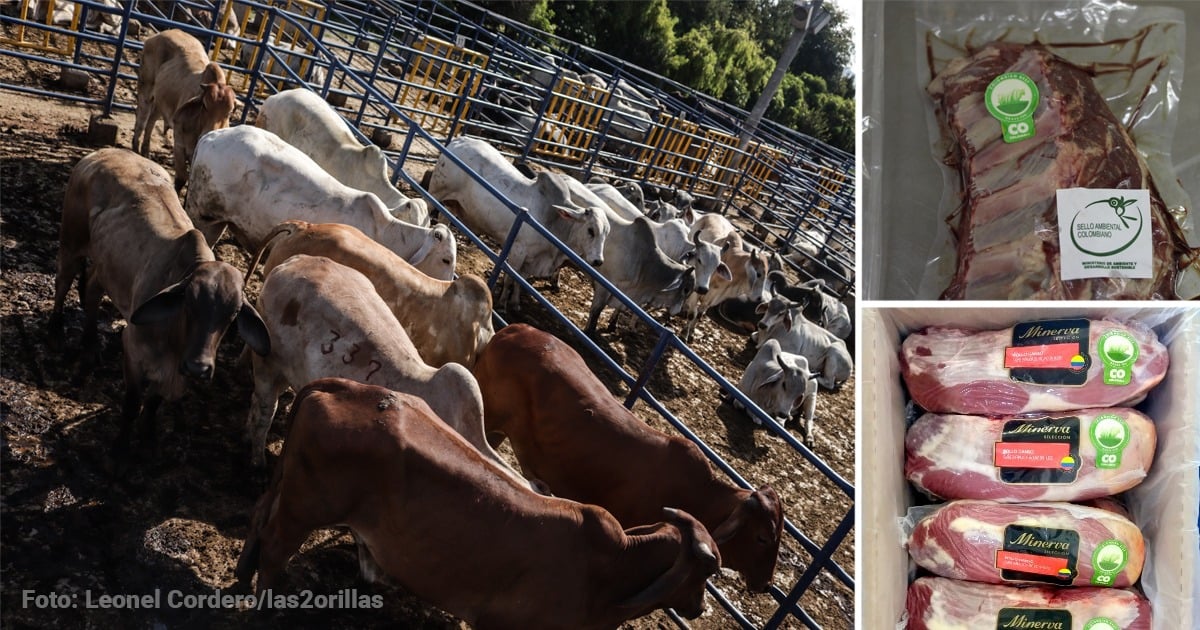 China cambia las reglas del mercado de la carne en 2026: golpea a Brasil y favorece a Colombia