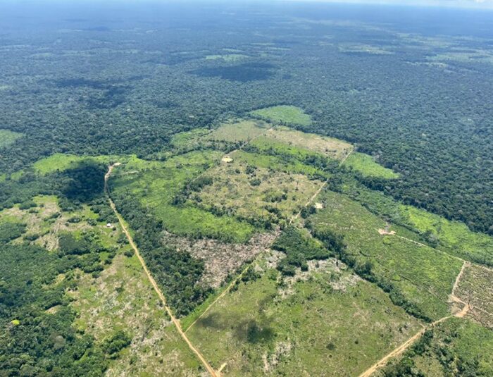 La pelea contra la deforestación de la Amazonía logró juntar sacerdotes católicos, pastores cristianos y protestantes - -- Las2orillas - La pelea contra la deforestación de la Amazonía logró juntar sacerdotes católicos, pastores cristianos y protestantes