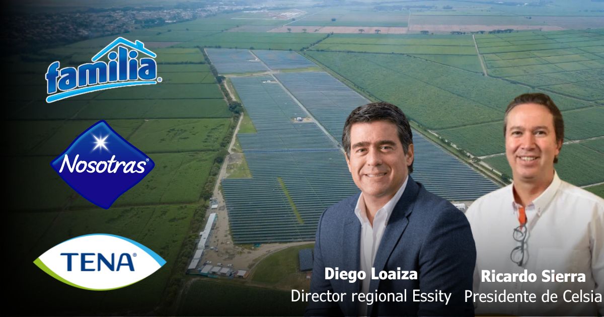 Cómo funciona la gigante planta solar en el Cauca que mueve el negocio de los suecos que se quedaron con papeles Familia