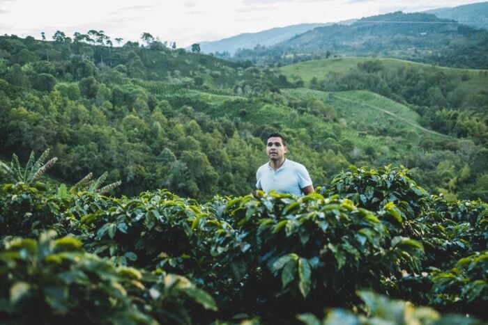  - Cómo un muchacho tolimense convertido en experto mundial de café coronó con un sofisticado negocio en el Huila