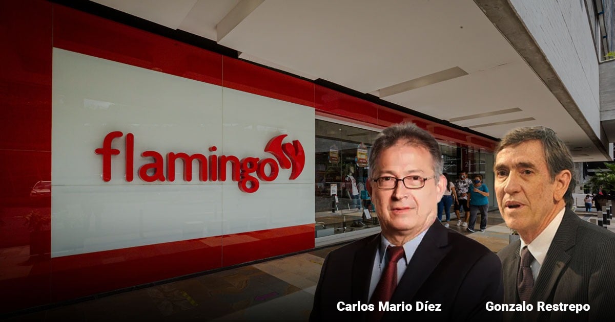 Los mega planes de Almacenes Flamingo que le pegaron un susto a sus dueños, pero pudieron retomar el vuelo