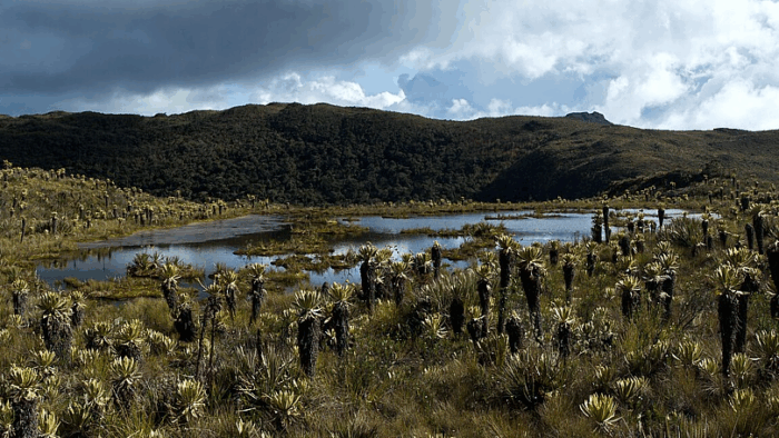 Cuál es el impresionante pueblito antioqueño conocido como la "ciudad dulce", un lugar único en el país