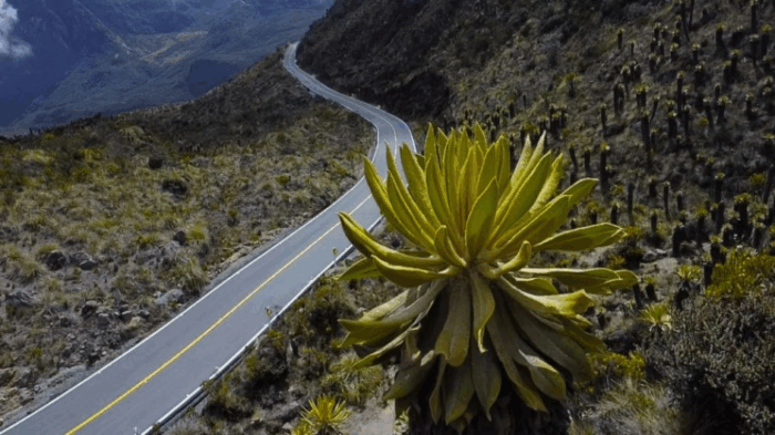 Esta es la vía más linda de Colombia, un recorrido entre el páramo y paisajes imponentes - -- Las2orillas Esta es la vía más linda de Colombia, un recorrido entre el páramo y paisajes imponentes