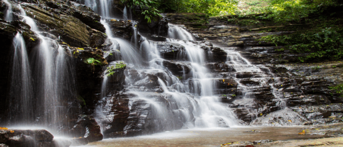 El impresionante parque natural entre Chocó y Antioquia que volverá a abrir sus puertas tras 30 años - -- Las2orillas - El impresionante parque natural entre Chocó y Antioquia que volverá a abrir sus puertas tras 30 años