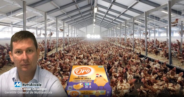  - Como unos productores de huevos de gallina en galpones volvieron un gran negocio sacarlas de la jaula