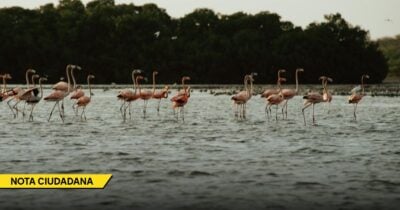  - Las2orillas.co: Historias, voces y noticias de Colombia