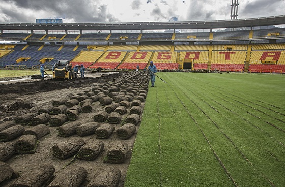  - La millonada que Selcia le va a meter a la cancha de El Campín para dejarla como la de un estadio internacional