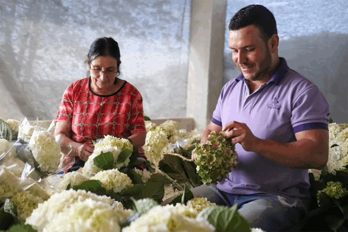  - La gigante oportunidad para visibilizar a microempresarios, el motor económico de Colombia