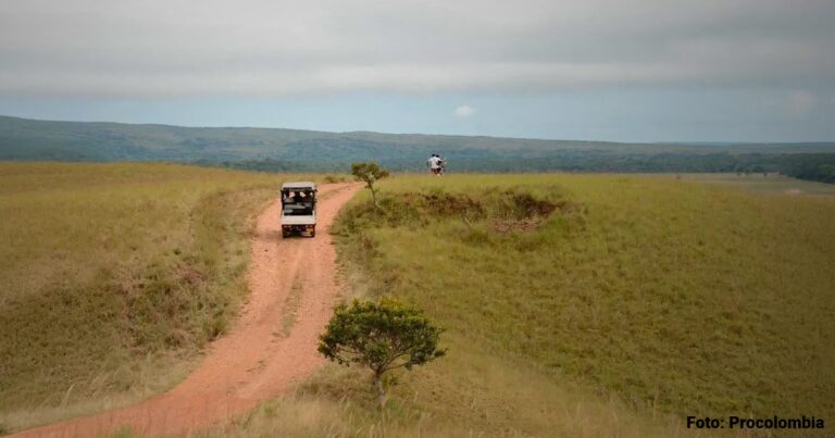  - Así puede hacer un safari en pleno Llano colombiano a menos de tres horas de Bogotá