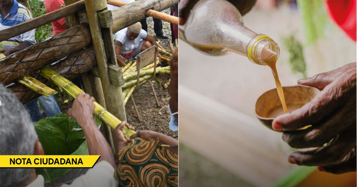  - El festival que impulsó al viche para que se convirtiera en un símbolo cultural colombiano