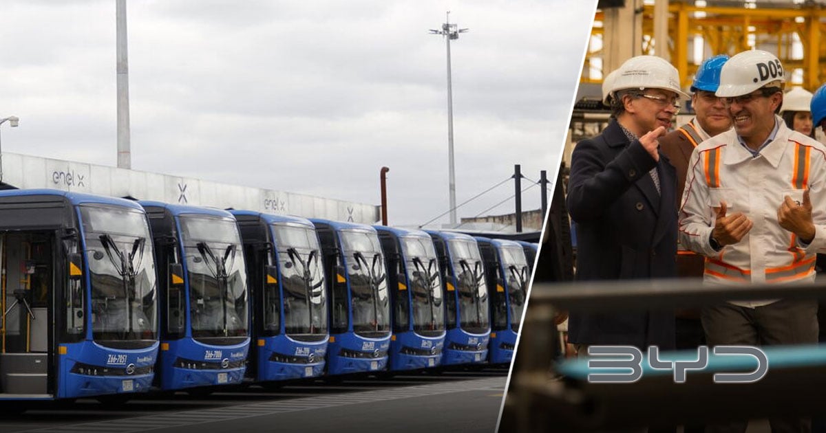  - Así logró BYD, la gigante china de carros eléctricos, venderle a Colombia 215 buses por más de USD  millones