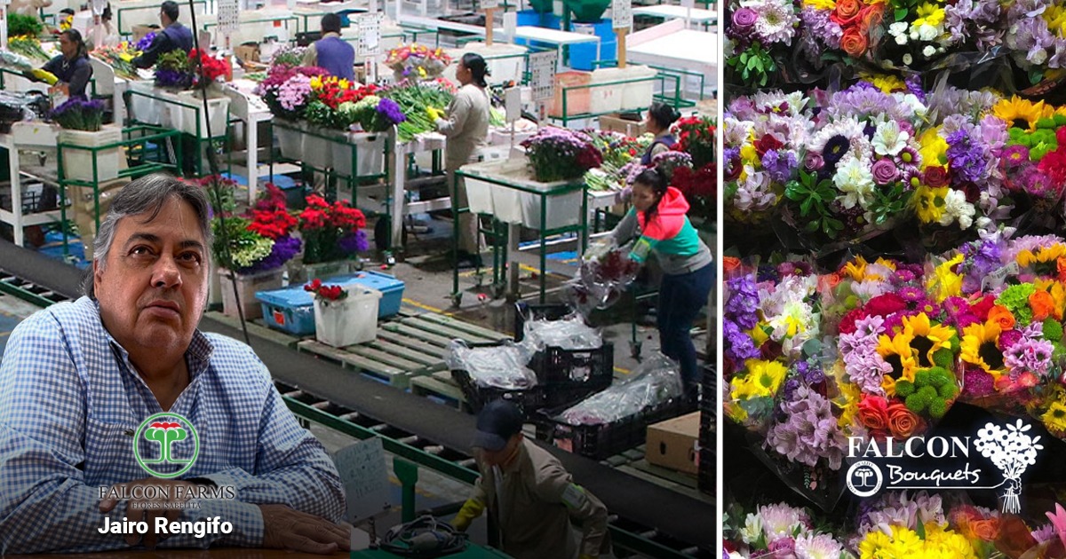  - La empresa paisa que con decenas de trabajadores discapacitados pone millones de bouquets en EE. UU.