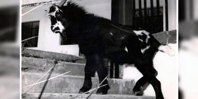 El día que Mario Laserna, abuelo de Paloma Valencia, convenció a Albert Einstein a soñar en la Universidad de Los Andes - -- Las2orillas.co: Historias, voces y noticias de Colombia - El día que Mario Laserna, abuelo de Paloma Valencia, convenció a Albert Einstein a soñar en la Universidad de Los Andes