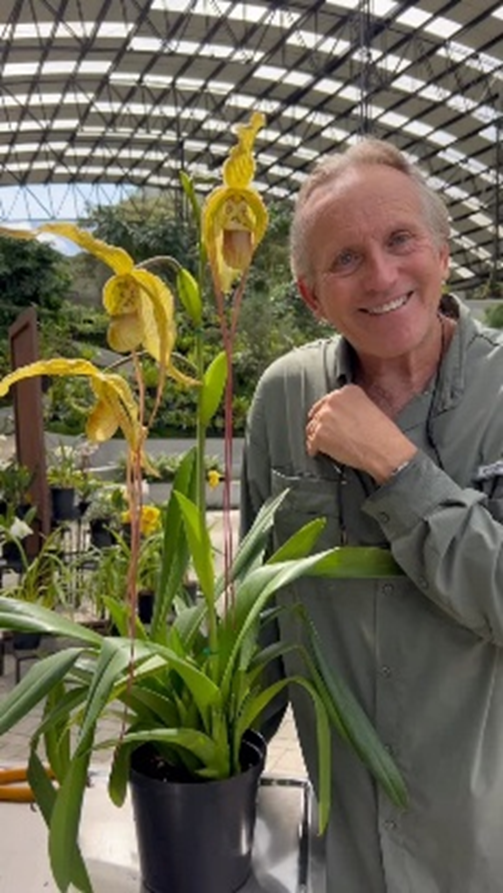  - Una orquídea en Antioquia es la sensación de los extranjeros y hace de Colombia el país con más variedad