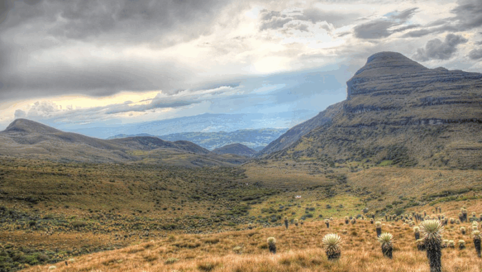 El pueblito de Boyacá que parece sacado de los Alpes europeos y está a pocas hroas de Bogotá