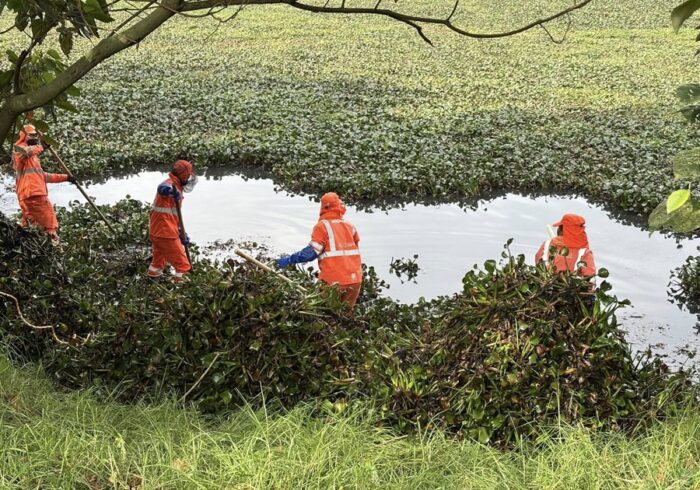  - Los Humedales de Bogotá están en riesgo los más afectados son Jaboque, Tingua Azul y Tibabuyes en Suba