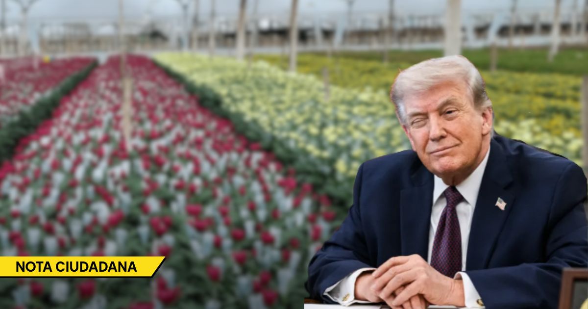  - Estos son los sectores que pagan los platos rotos de las caprichosas decisiones arancelarias de Donald Trump