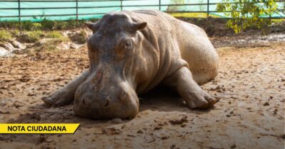  - Las2orillas.co: Historias, voces y noticias de Colombia