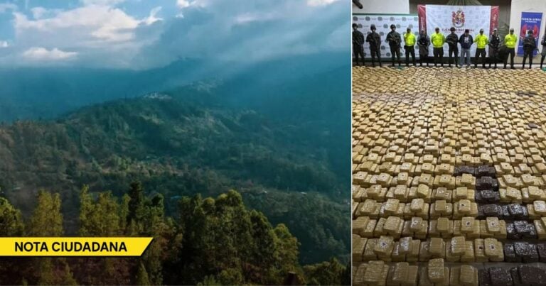 Split image: left side shows a mountainous forest landscape with blue sky; right side shows dozens/hundreds of rectangular packages laid out on the floor and a row of officers in neon jackets in the background. - El paraíso escondido de Boyacá que terminó atrapado por las mafias del narcotráfico
