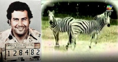  - Las2orillas.co: Historias, voces y noticias de Colombia