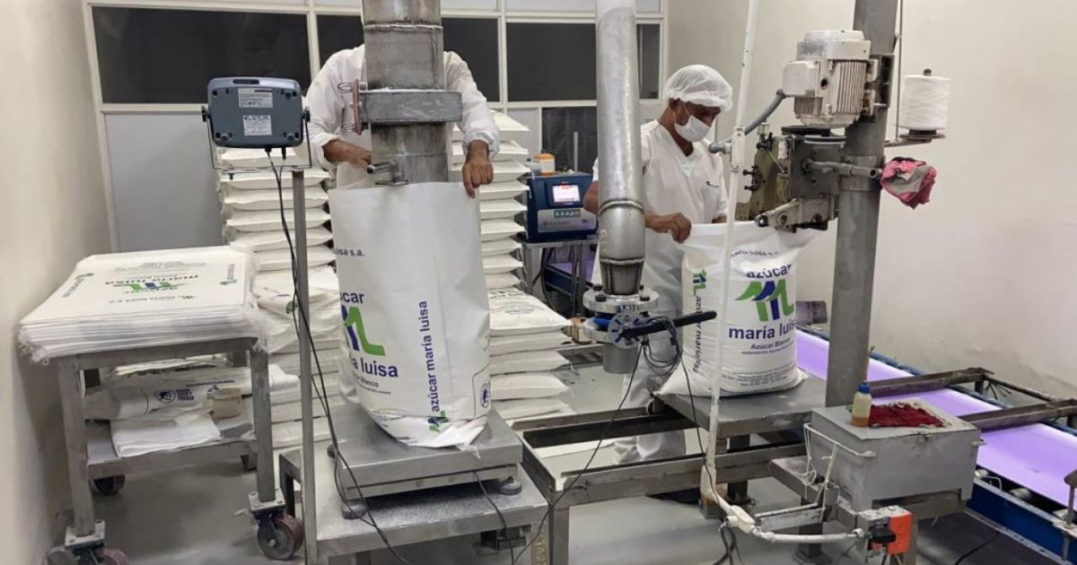  - ¿Quién es la poderosa familia dueña del Ingenio María Luisa que cerró sus puertas en el Valle del Cauca?