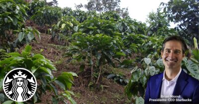 Colombia no quedó en el proyecto de Starbucks de donar 100 millones de cafetos que recibirá México, Salvador y Guatemala