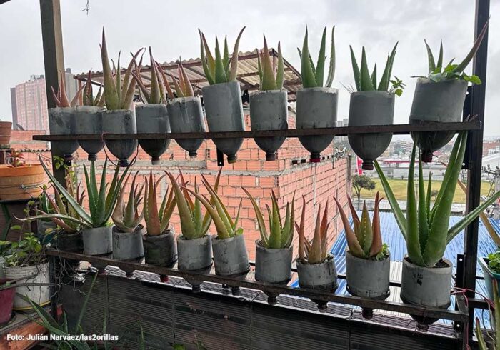 familias desplazadas