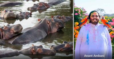  - Las2orillas.co: Historias, voces y noticias de Colombia