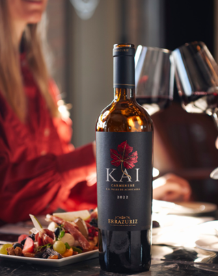  - Así fue la devolución a Colombia de 174 piezas precolombinos que una familia chilena guardó por décadas