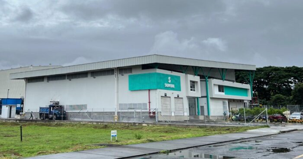  - Una multinacional portuguesa se quedó con la planta de aguacate Hass del eje cafetero