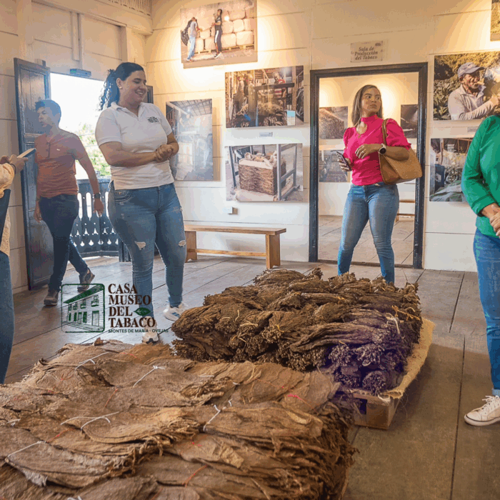  - El tabaco de los Montes de María que conquistó Europa y que hoy tiene su propio museo en Sucre