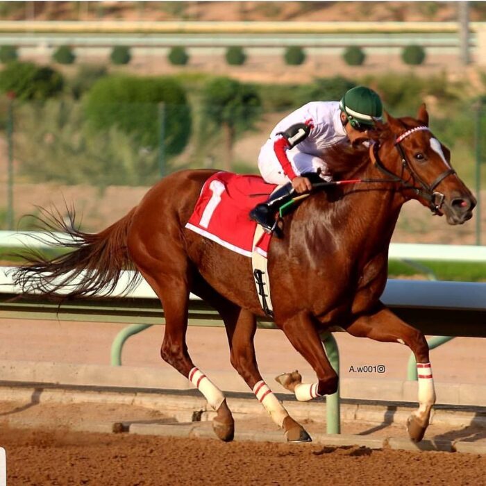 De las calles humildes de Guarne a Dubai: Camilo Ospina, el jinete paisa que triunfa en la hípicas de Medio Oriente