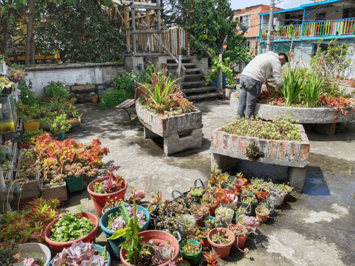 Dónde queda el jardín botánico oculto al sur de Bogotá con su propia piscina de agua natural y un glamping - -- Las2orillas.co: Historias, voces y noticias de Colombia Dónde queda el jardín botánico oculto al sur de Bogotá con su propia piscina de agua natural y un glamping