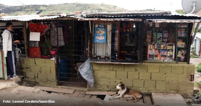  - Estas son las Localidades de Bogotá donde hay más perros callejeros abandonados por sus dueños
