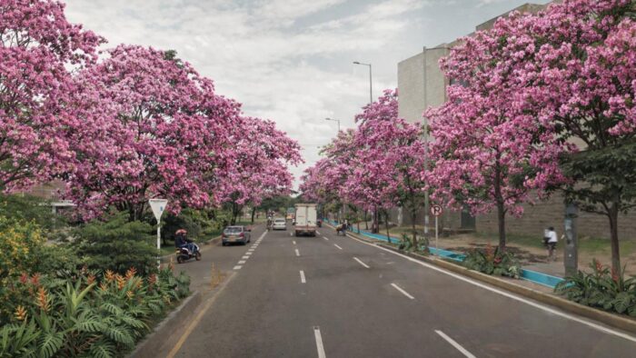 Avenida Ciudad de Cali
