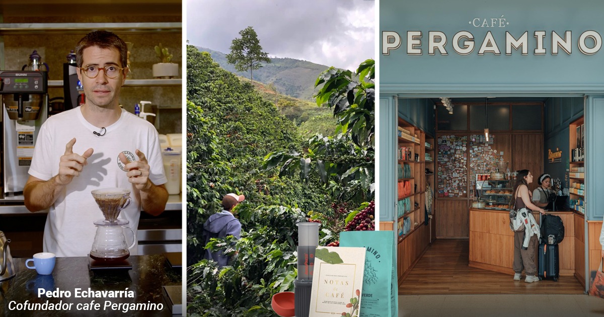 Left: barista explaining pour-over coffee; middle: worker among coffee plants in a lush plantation; right: Pergamino cafe interior with customers at the counter. - El Café Pergamino que pasó de conquistar Medellín a vender en 20 países, le apuesta a Canadá
