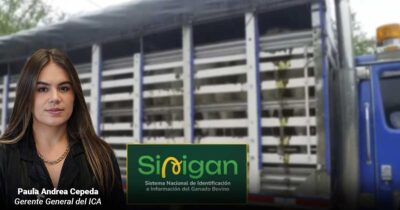El nuevo sistema de información del ICA tiene paralizado el ganado en las regiones