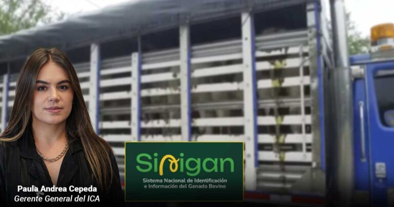  - El nuevo sistema de información del ICA tiene paralizado el ganado en las regiones
