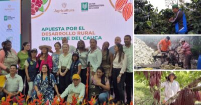 El pacto entre Asocaña, ingenios azucareros, indígenas y Gobierno que empieza a transformar el norte del Cauca - El pacto entre Asocaña, ingenios azucareros, indígenas y Gobierno que empieza a transformar el norte del Cauca